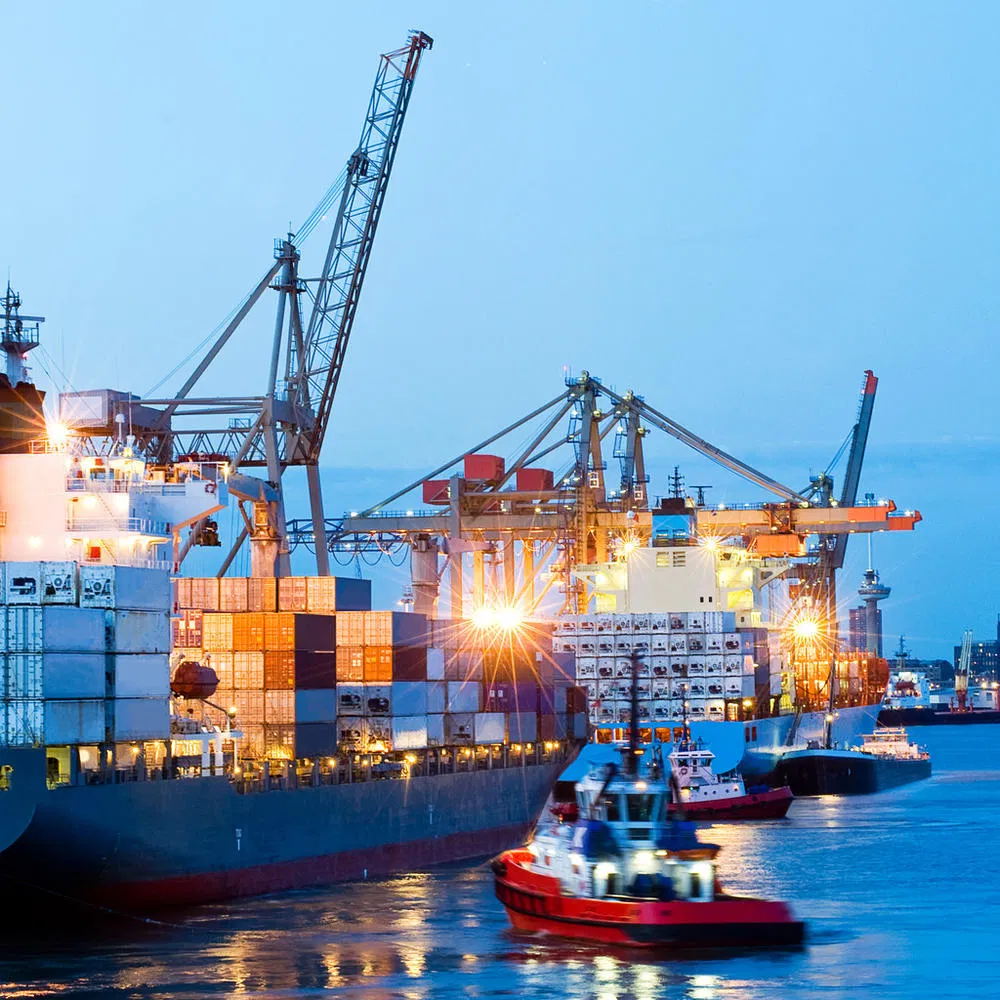 Môi giới vận tải biển là gì? Vai trò cốt lõi trong chuỗi cung ứng toàn cầu 2